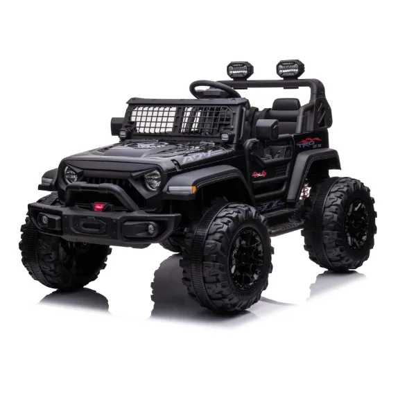 12V&24V Non-lincese battery Two Seats ATV Car