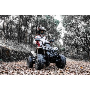 CL-SHD1002 Can-Am Renegade Licensed Kids Ride-On Car, 12V & LED Lights