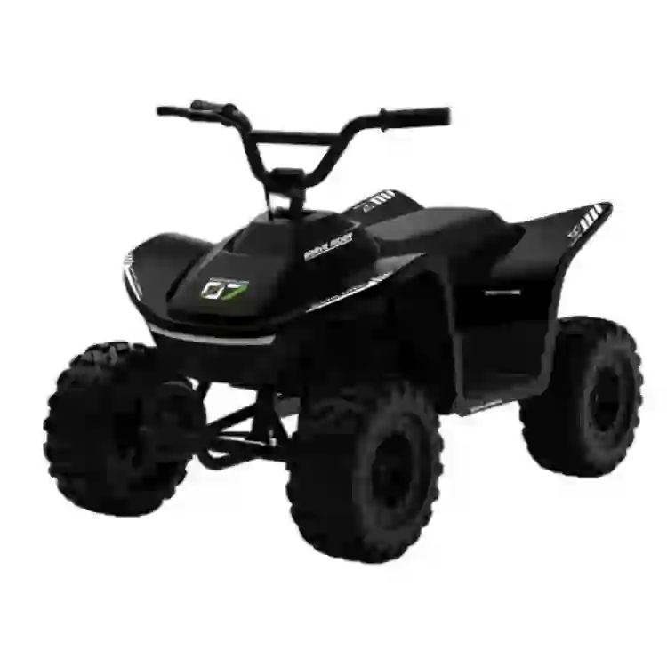CN-SHX71178 Kids Electric ATV 24V/36V – Quad Bike Wholesale | CHITUO